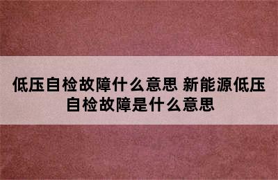 低压自检故障什么意思 新能源低压自检故障是什么意思